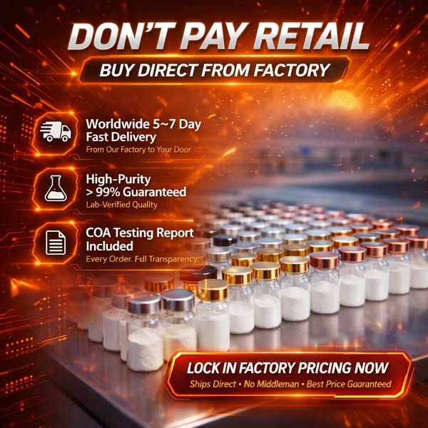 Quantum digital landscape